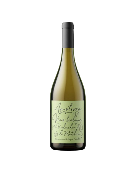 Amoterra Verdicchio di Matelica Vino Biologico White Wine Italy buy online