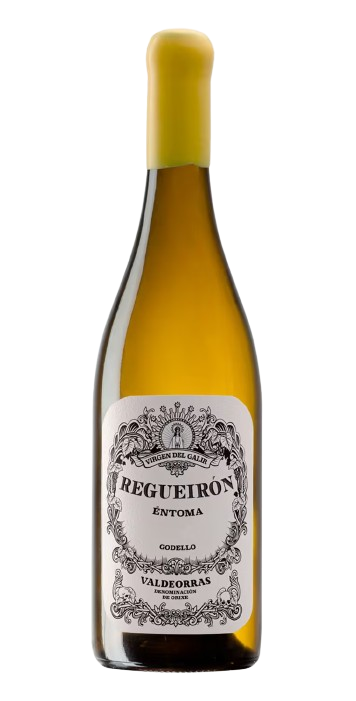 Regueiron Entoma Godello 2023 White Wine Spain buy online