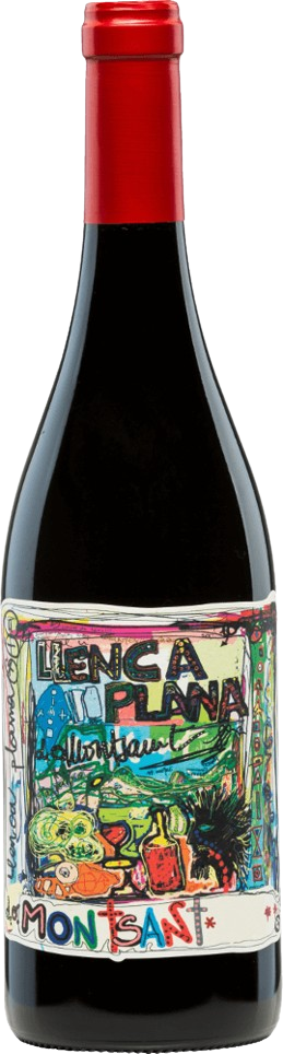 Llenca Plana 2020 Red Wine Spain buy online