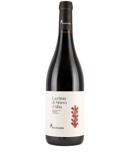 Belisario Lacrima di Morro d Alba Red Wine Italy buy online