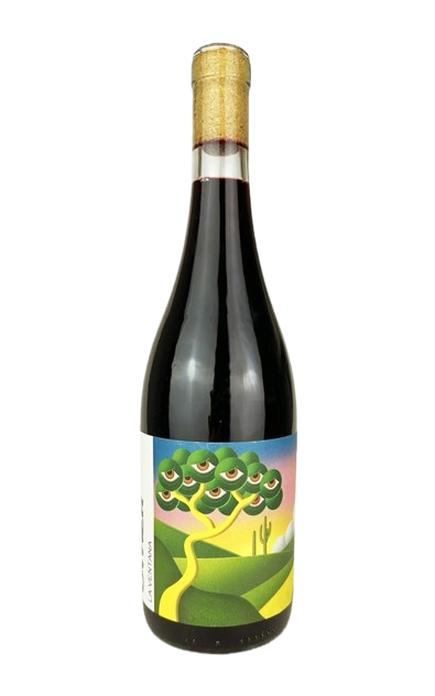 Canfer Rosso Red Wine Italy buy online