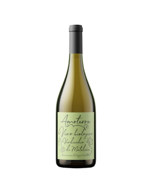 Amoterra Verdicchio di Matelica Vino Biologico White Wine Italy buy online
