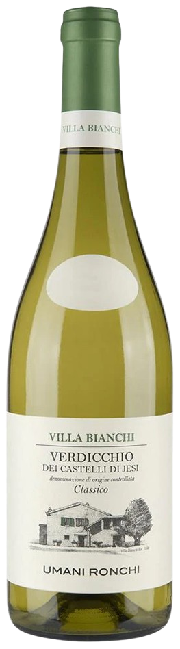 Villa Bianchi Verdicchio dei Castelli di Jesi Classico 2025 White Wine Italy buy online