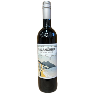 Falanghina Montecalvo 2023 White Wine Italy buy online