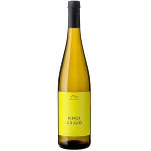Erste Neue Pinot Grigio Alto Adige DOC Pinot Grigio Italy buy online