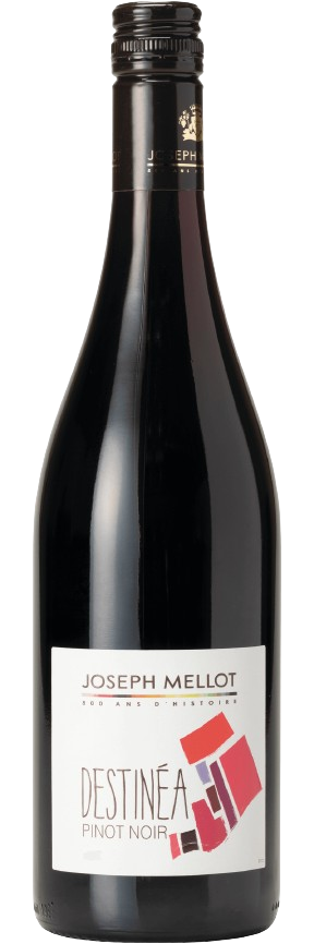 Joseph Mellot Destinee Pinot Noir 2023 Pinot Noir France buy online