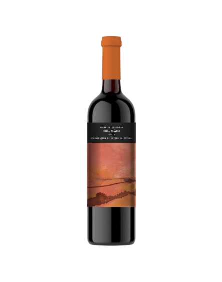 Solar de Estraunza Rioja Tempranillo Tempranillo Spain buy online