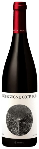 Louis Jadot Bourgogne Cote d Or 2022 Red Wine France buy online