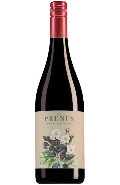Prunus Dao Private Selection Red Wine Portugal buy online