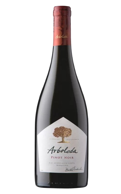 Arboleda Cabernet Sauvignon 2018 Cabernet Sauvignon Chile buy online