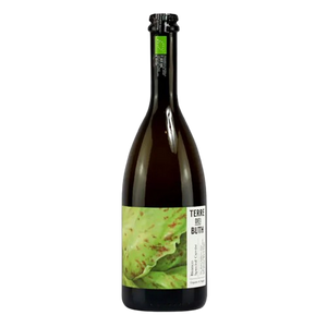 Terre dei Buth Bianco Special Cuvee Champagne and Sparkling buy online