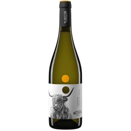 Vigneti Radica Pecorino Terre di Chieti IGT White Wine Italy buy online
