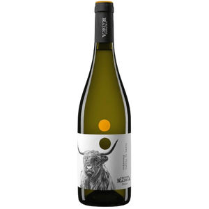 Vigneti Radica Pecorino Terre di Chieti IGT White Wine Italy buy online