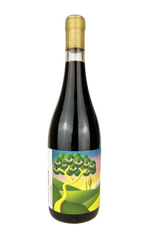 Canfer Rosso Red Wine Italy buy online