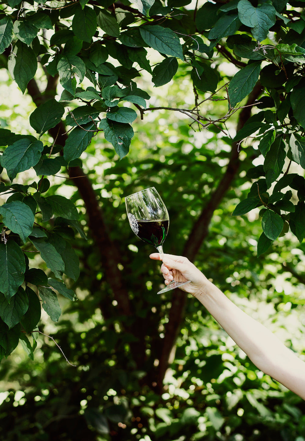 Vegan Wines